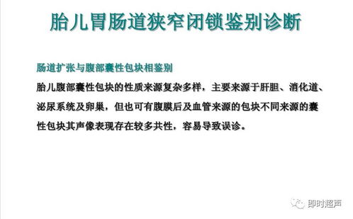 胎儿消化系统超声检查与肝癌血浆microRNA标志物检测报告系统的综合应用