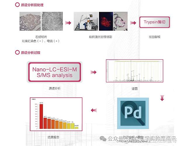 临床质谱检测企业大盘点 有观点,有态度这是医业观察的第2173